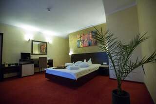 Отель Hotel Meliss Крайова Двухместный номер с 1 кроватью или 2 отдельными кроватями-7