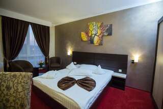 Отель Hotel Meliss Крайова Двухместный номер с 1 кроватью или 2 отдельными кроватями-1