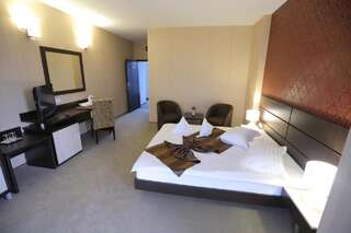Отель Hotel Meliss Крайова Двухместный номер с 1 кроватью или 2 отдельными кроватями-5